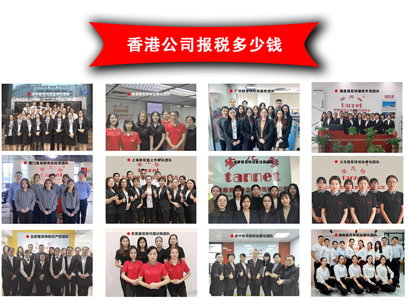 香港公司报税多少钱