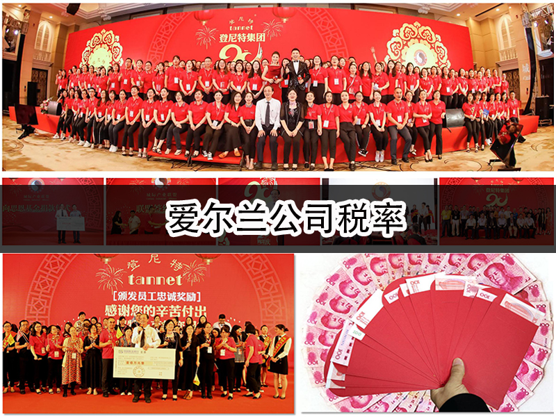 爱尔兰公司税率