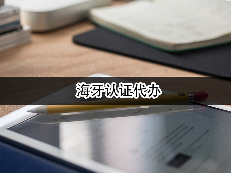 海牙认证代办