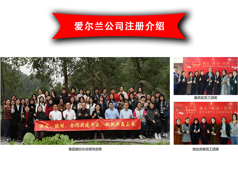 爱尔兰公司注册介绍