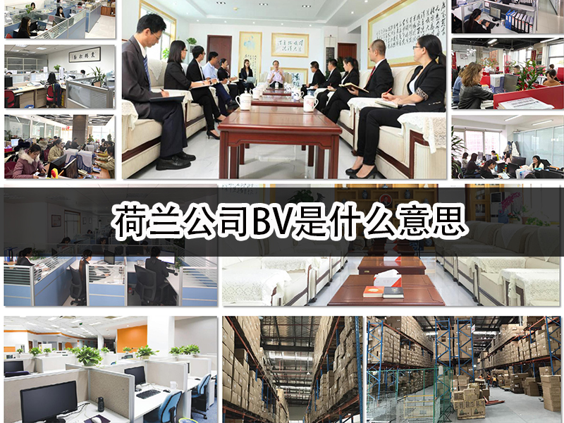荷兰公司BV是什么意思