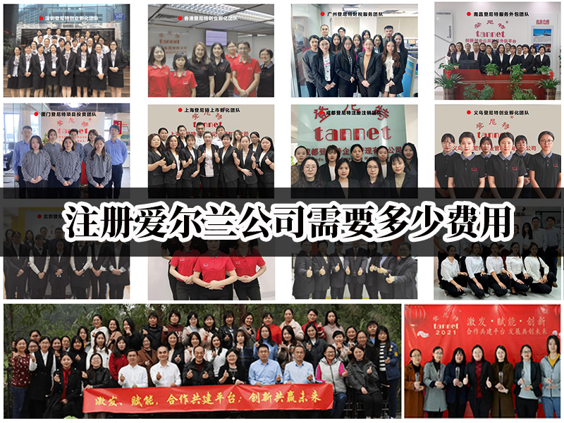 注册爱尔兰公司