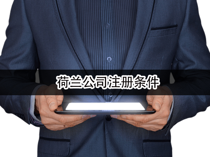 荷兰公司注册条件