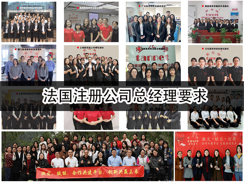法国注册公司总经理要求