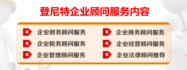 登尼特企业顾问服务